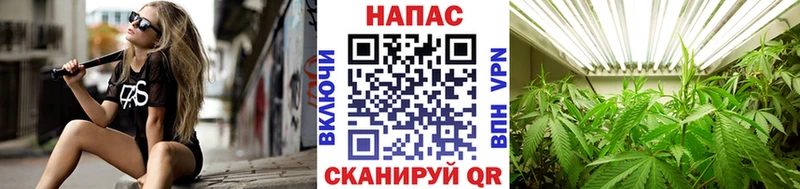 Виды наркоты Ишим Альфа ПВП АМФ ссылка на мегу ссылки Бошки Шишки МЕФ ГАШИШ Псилоцибиновые грибы