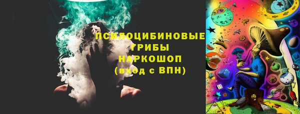 стаф Аркадак