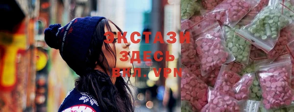 хмурый Арсеньев