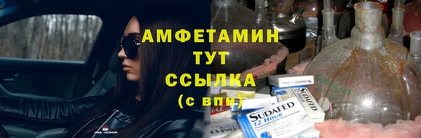хмурый Арсеньев