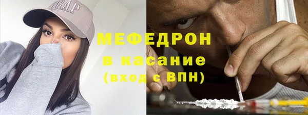 стаф Аркадак