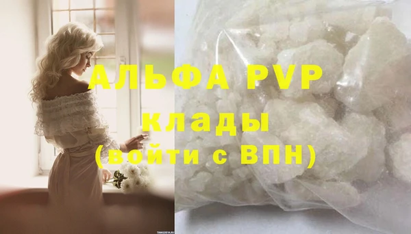 стаф Аркадак