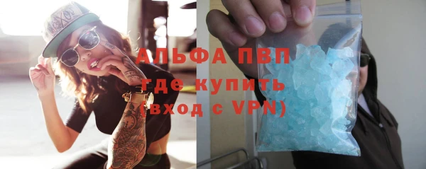 стаф Аркадак