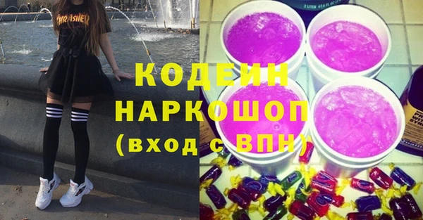 хмурый Арсеньев
