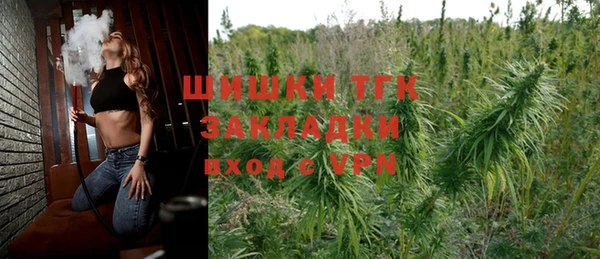 стаф Аркадак