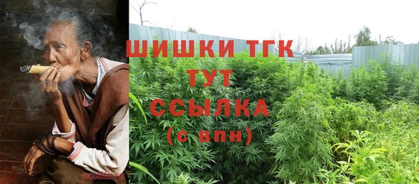 стаф Аркадак