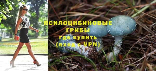 бошки Армянск