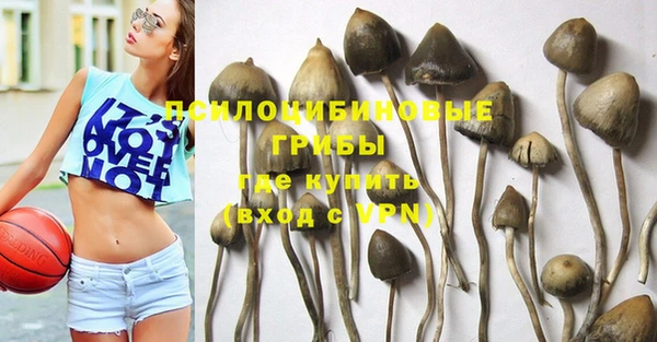 бошки Армянск
