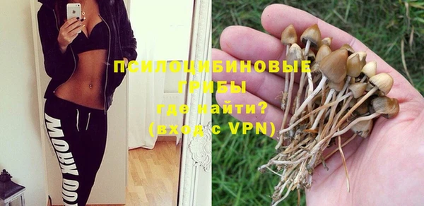 PSILOCYBIN Липки