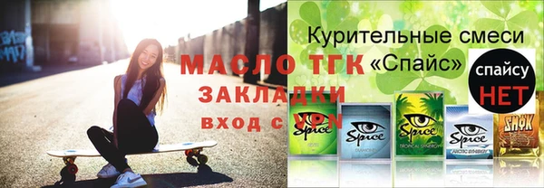 хмурый Арсеньев