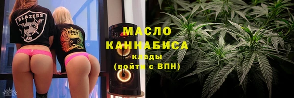 хмурый Арсеньев
