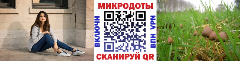 Галлюциногенные грибы ЛСД мега ссылка Ишим